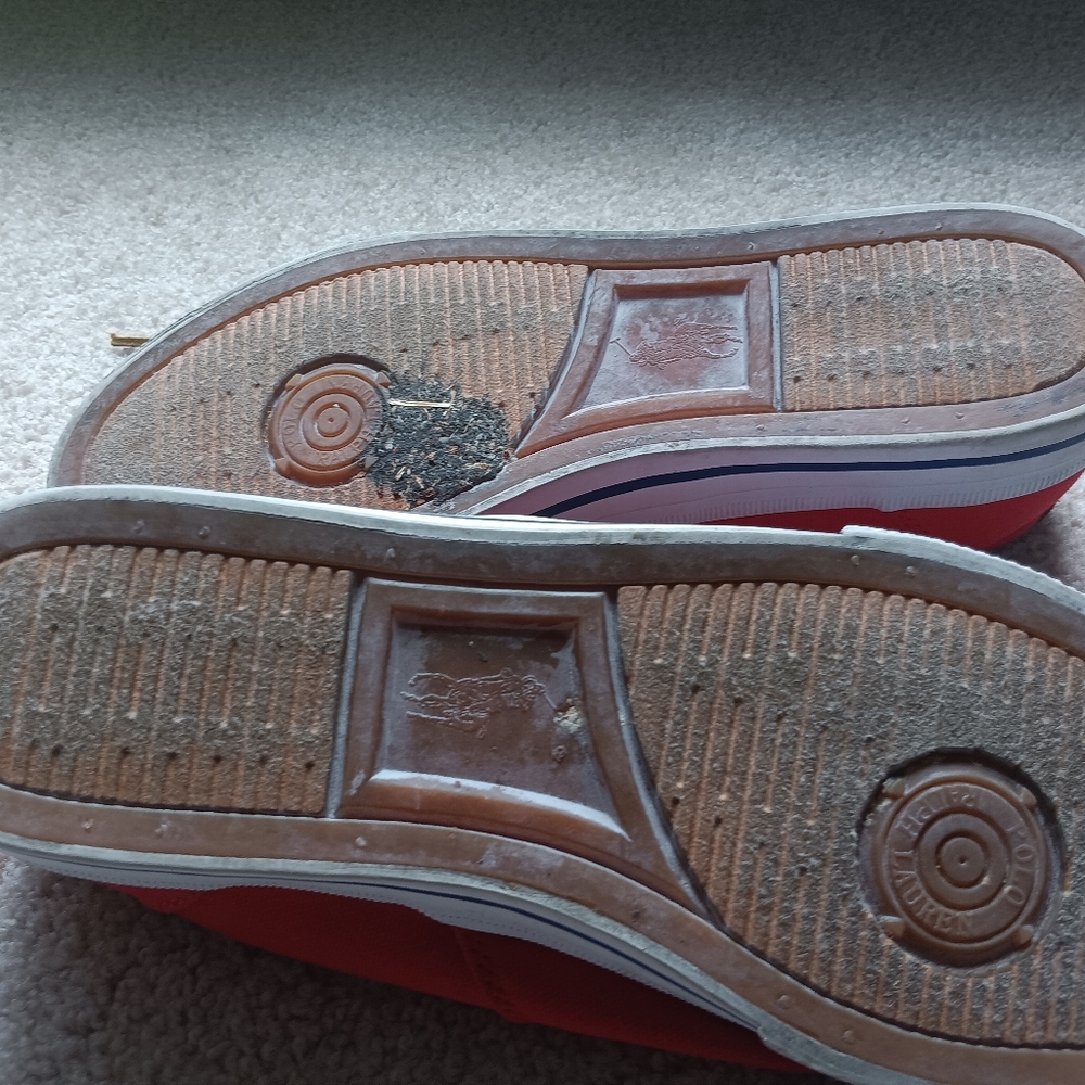 Shoes - Picture 5 of 5